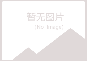 青岛黄岛寒安金融有限公司